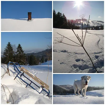 Farm stay Agroturystyka Zwardon